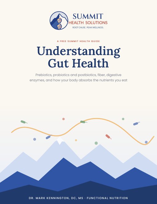 Understanding Gut Health guide cover